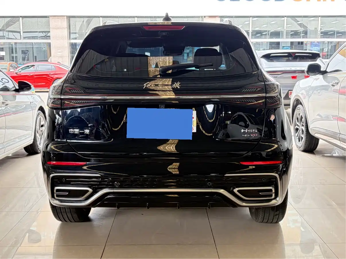 Hongqi HS5 2023 2.0T Flag Pro 500,000 Units Commemorative Edition фото 5