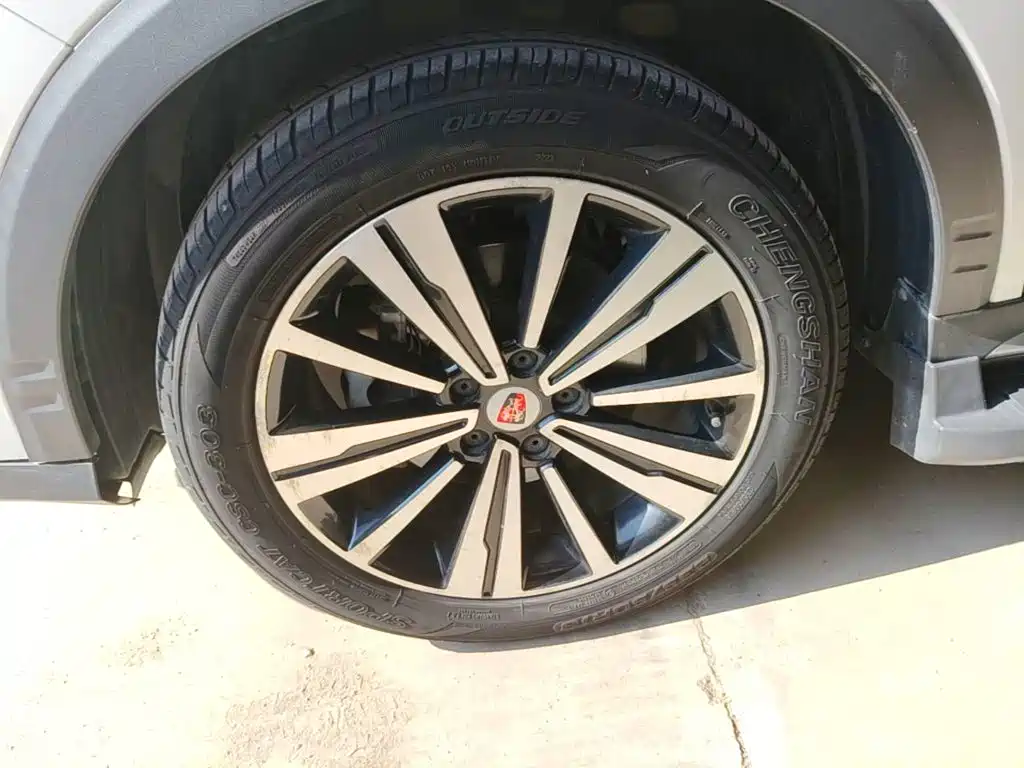 Фото 23 - Roewe RX5