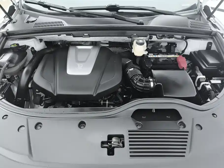 Photo 10 - BYD Tang