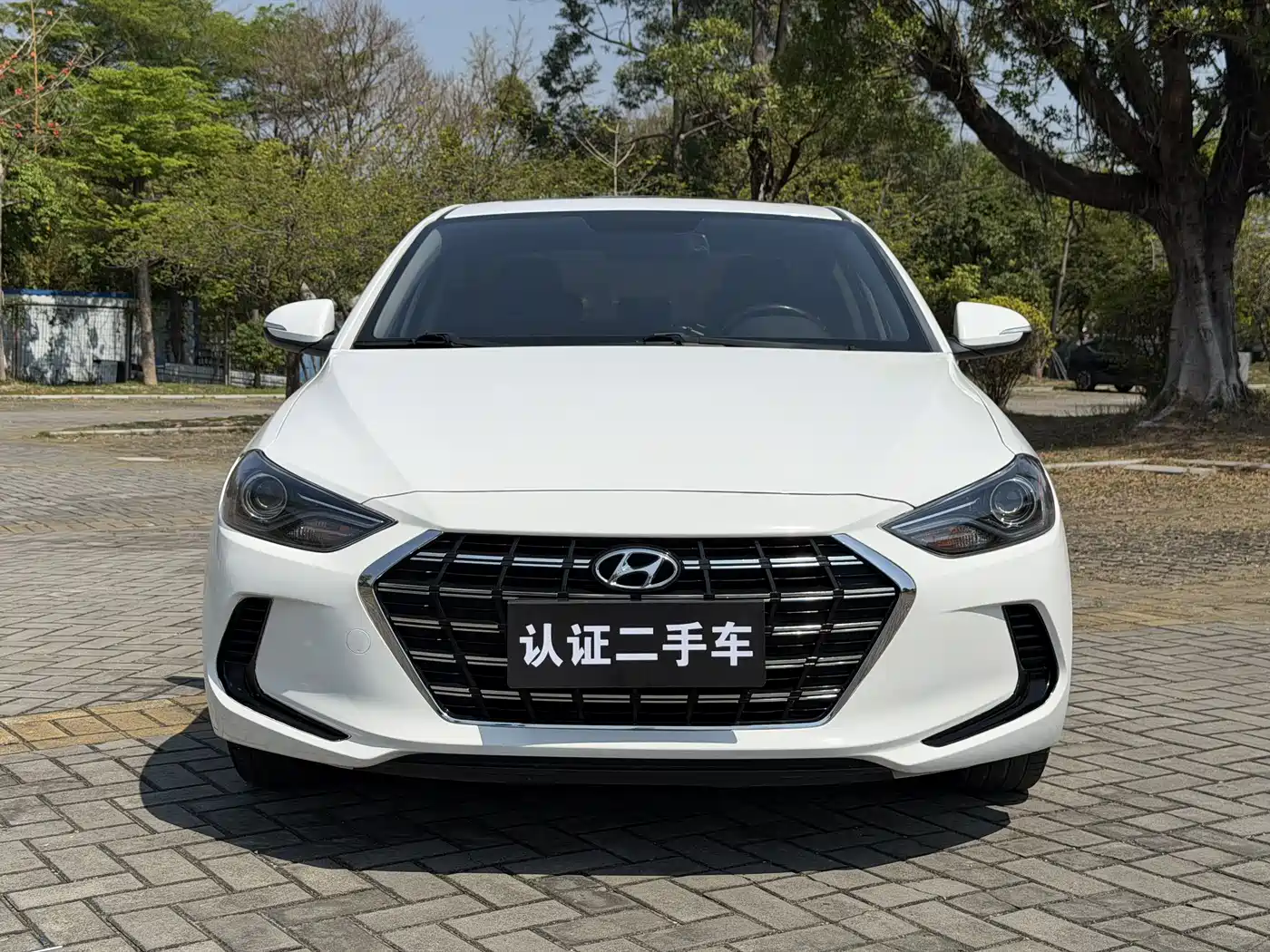 HYUNDAI LEAD
