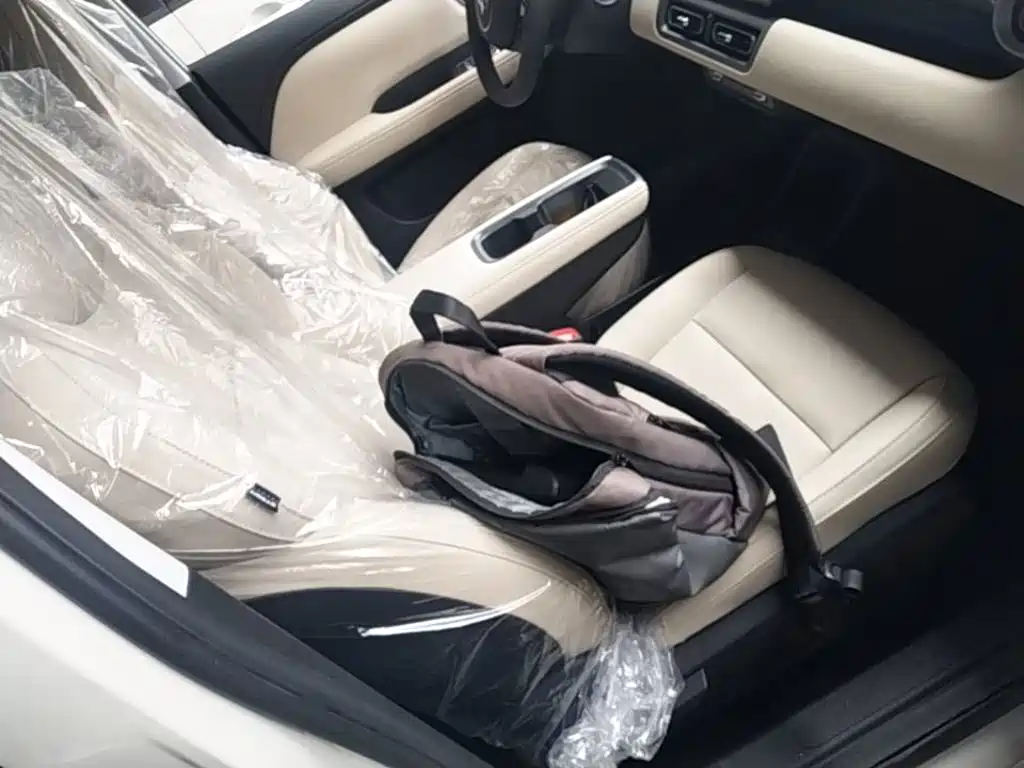 Wuling Motors Wuling Binguo PLUS 2026 2024 Model 330km 5-Seater