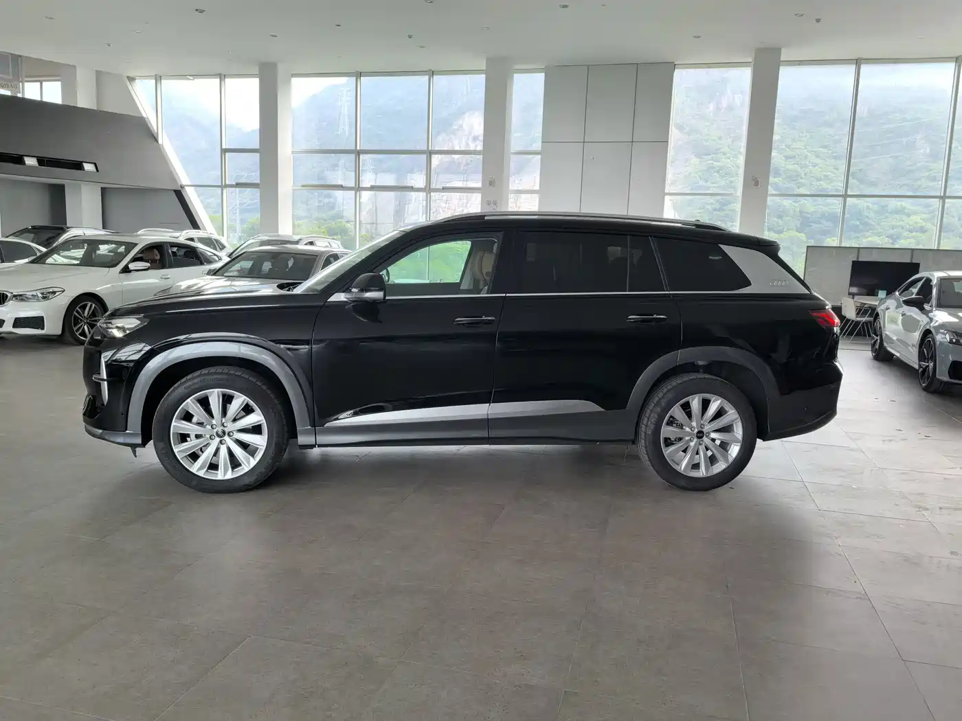 Audi Q6 2025 2024 45 TFSI quattro Qi Yun Yu Lin Package 6-seater