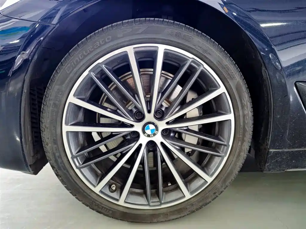 BMW 5 Series 2020 530Li Exclusive M Sport Package фото 7