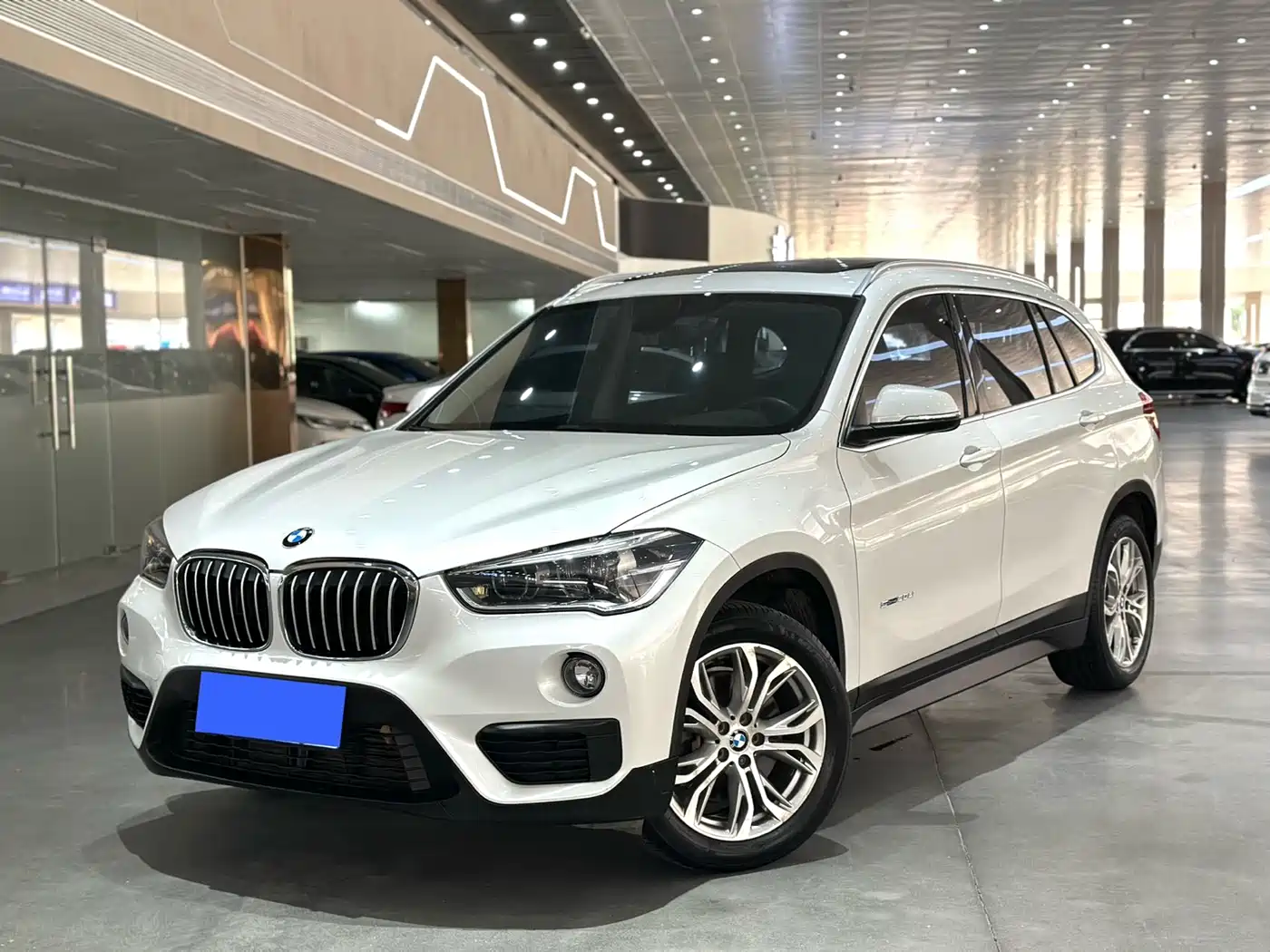 BMW X1 2018 sDrive20Li Leading Model