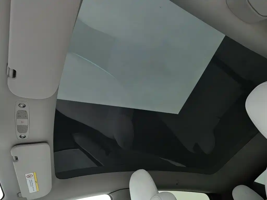 Tesla Model Y 2021 2021 Performance High-Performance AWD