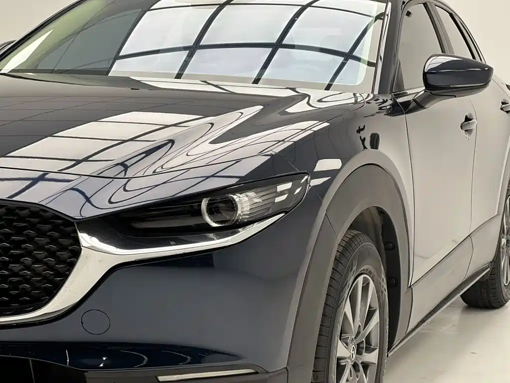 Mazda CX-30 2022 2021 2.0L Auto Quality Delight Type