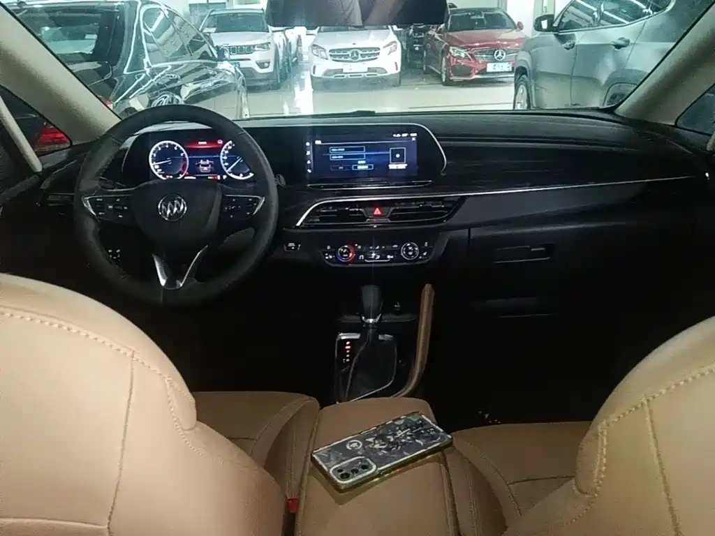 Фото 10 - Buick GL6