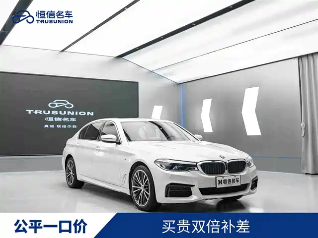 BMW 5 Series 2020 530Li Leading M Sport Package