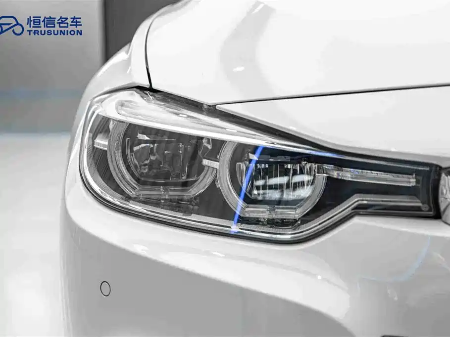 BMW 3 Series 2019 320Li M Sport Package фото 10