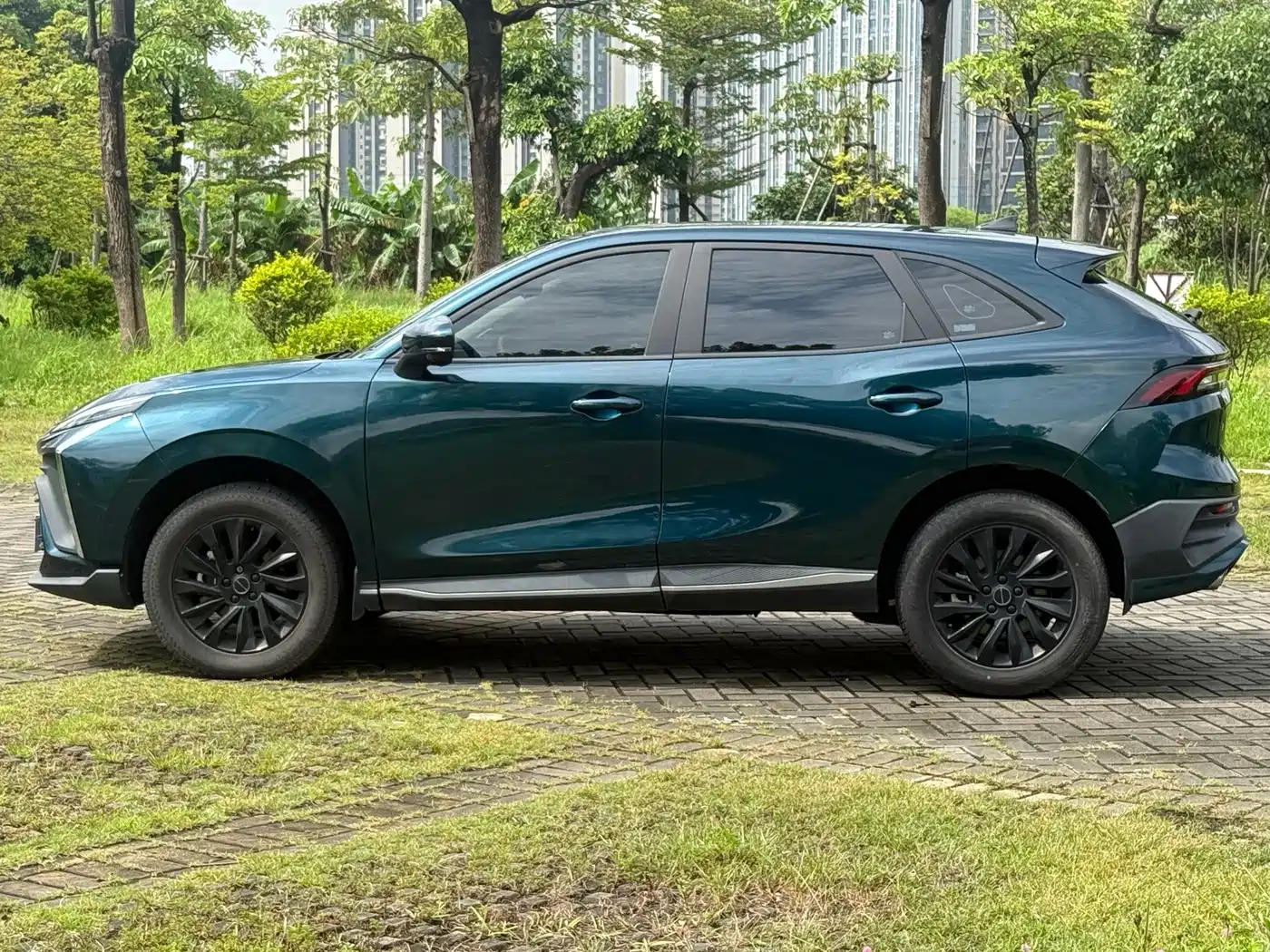 Dongfeng Fengxing Fengxing T5 EVO 2023 2024 1.5TD DCT Starry Sky Edition