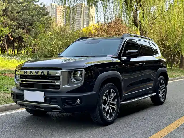 Haval Big Dog 2024 1.5T DCT Border Collie Edition