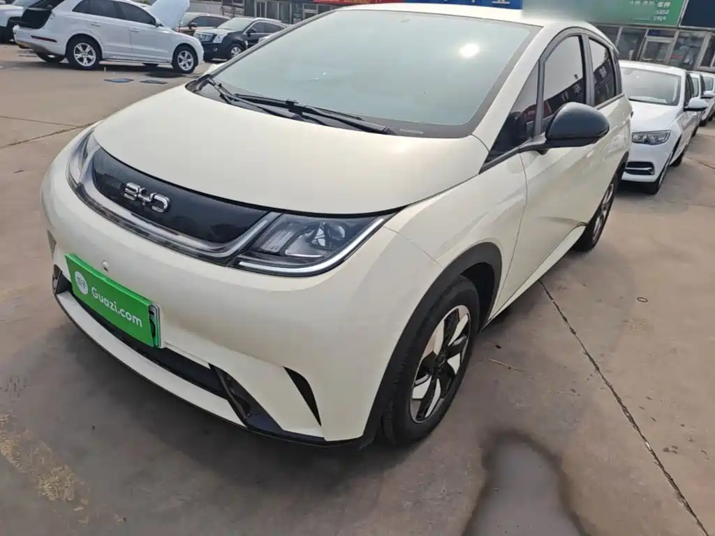Фото 2 - BYD Dolphin