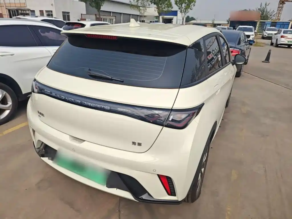 Фото 7 - BYD Dolphin