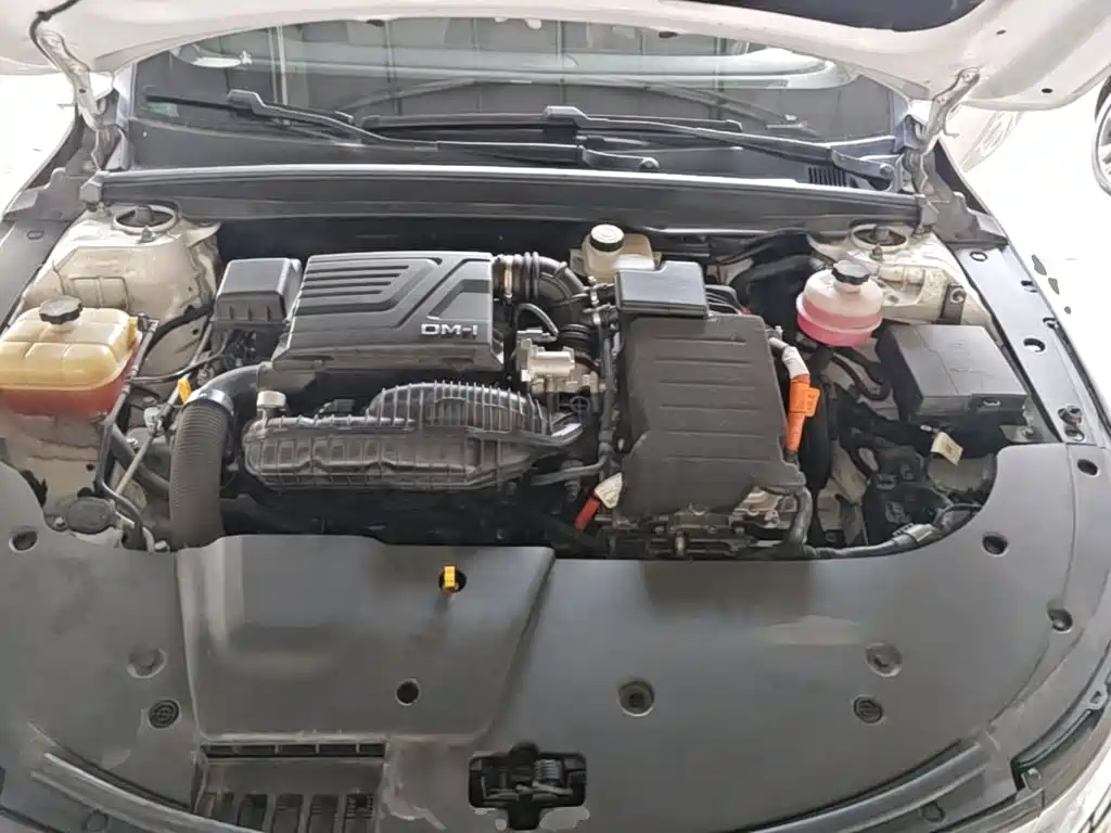 BYD Destroyer 05 2025 2024 Glory Edition DM-i 55KM Luxury