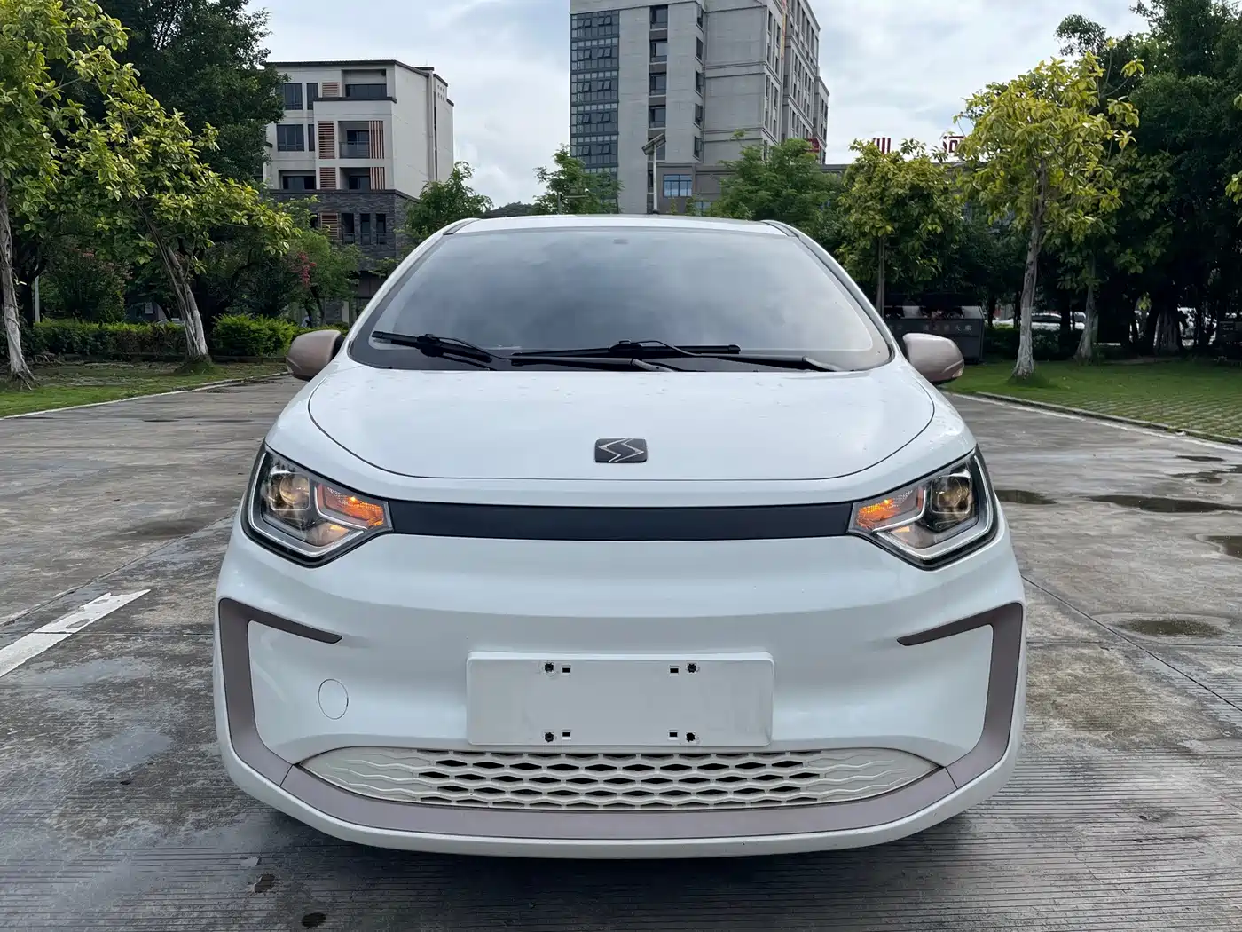 Sehol Flower Fairy 2021 2021 200km Classic Edition