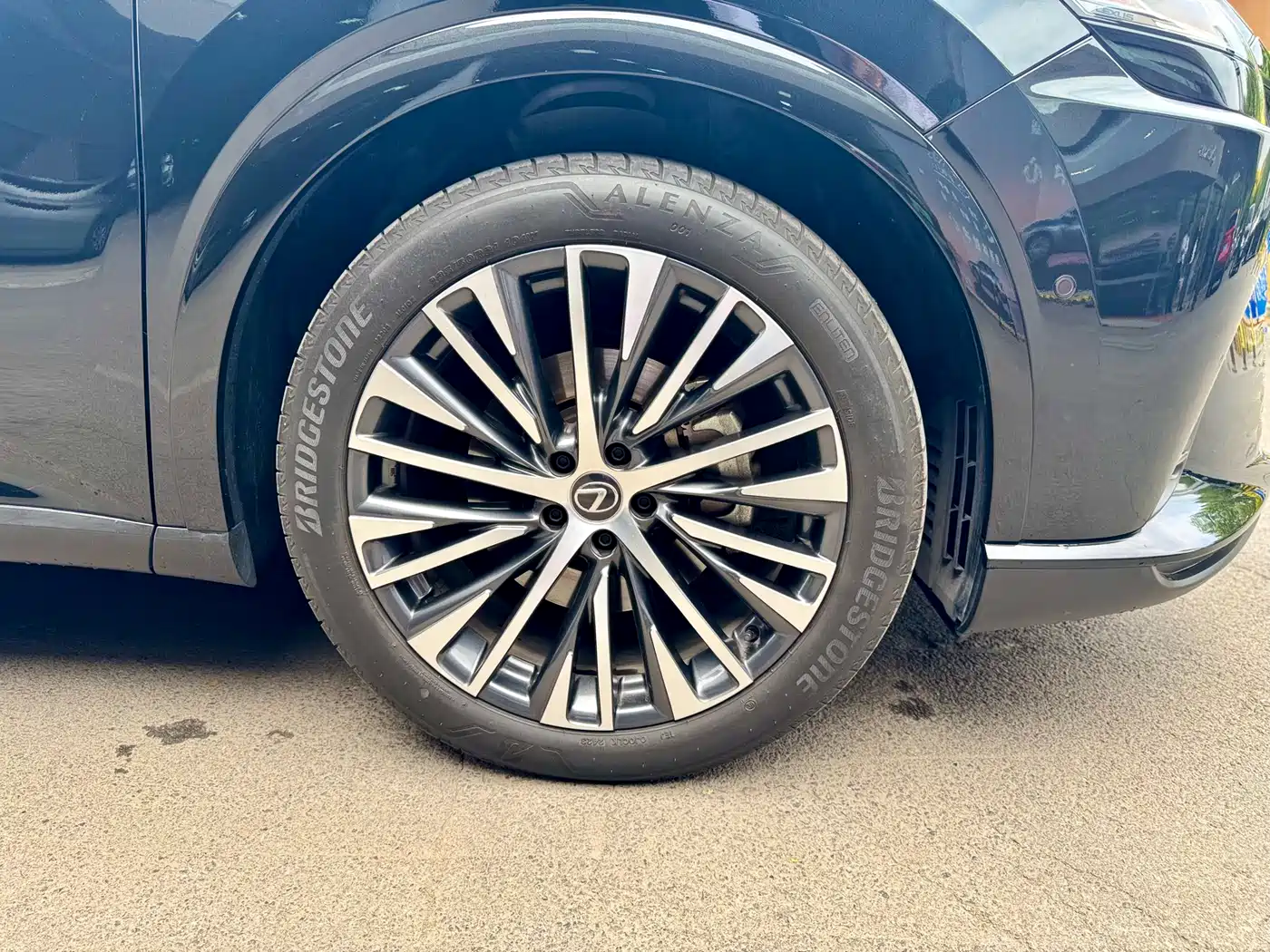 Lexus RX New Energy 2023 450h+ 4WD Enjoyment фото 24