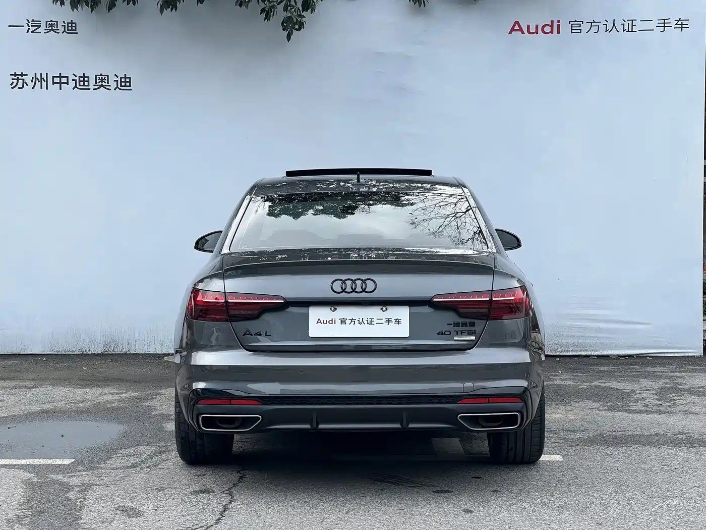 Audi A4L 2024 40 TFSI Luxury Dynamic (Starry Night Edition) фото 5
