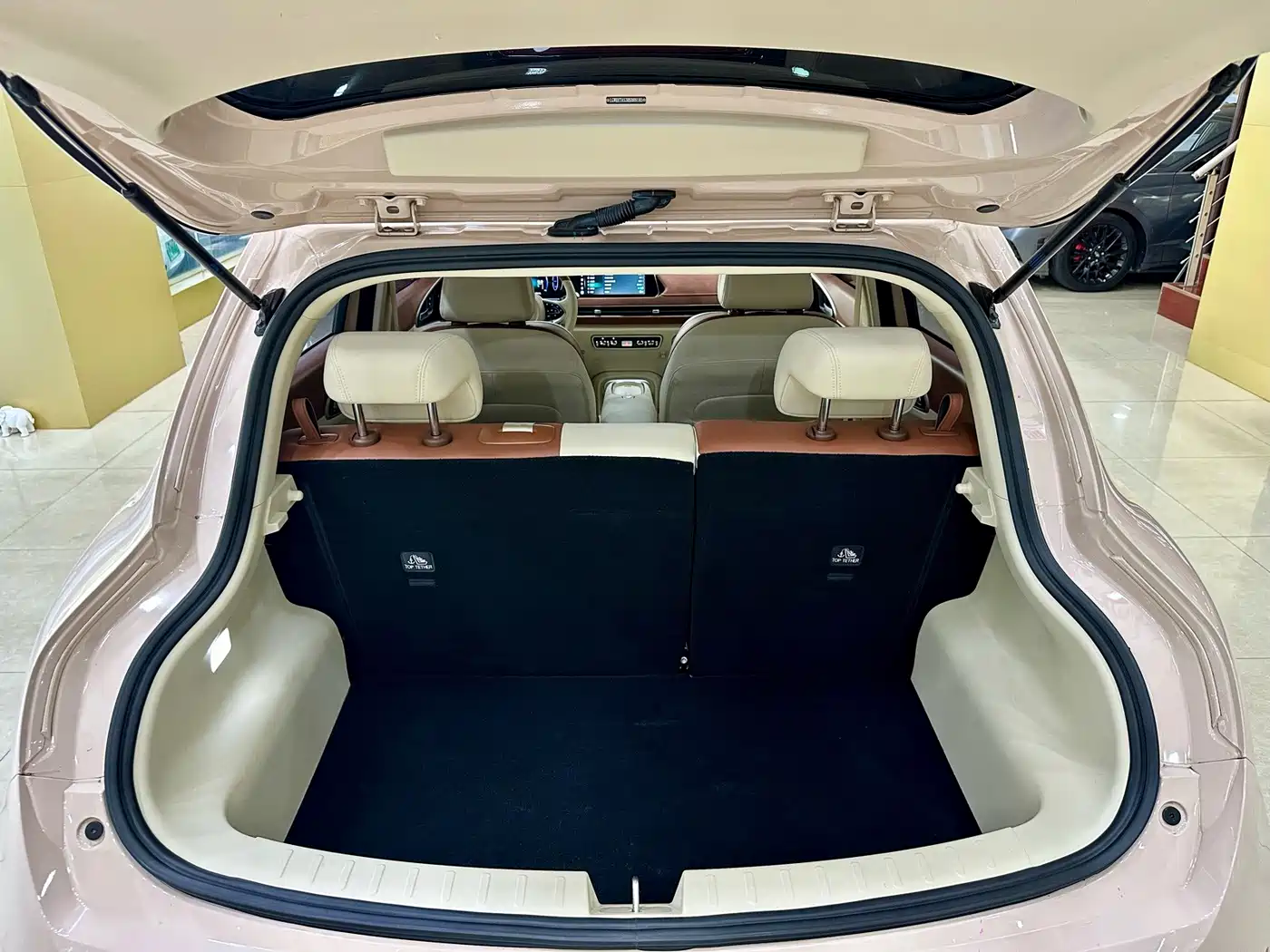 Ora Good Cat 2024 2023 401km Standard Range Luxury LFP