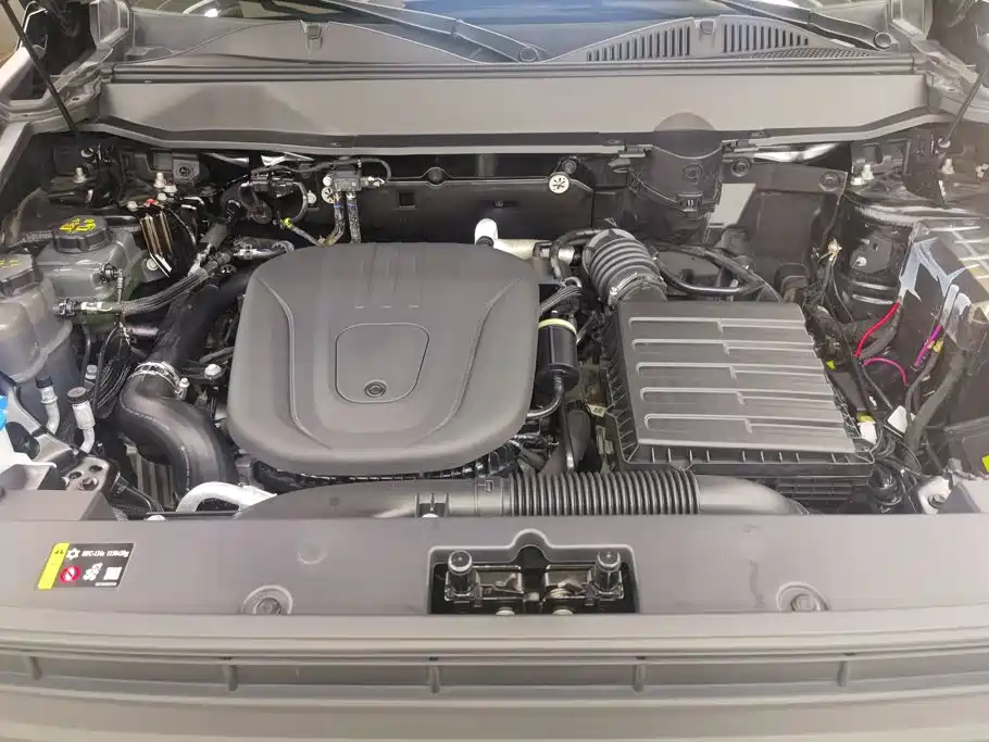 Photo 10 - Haval Raptor