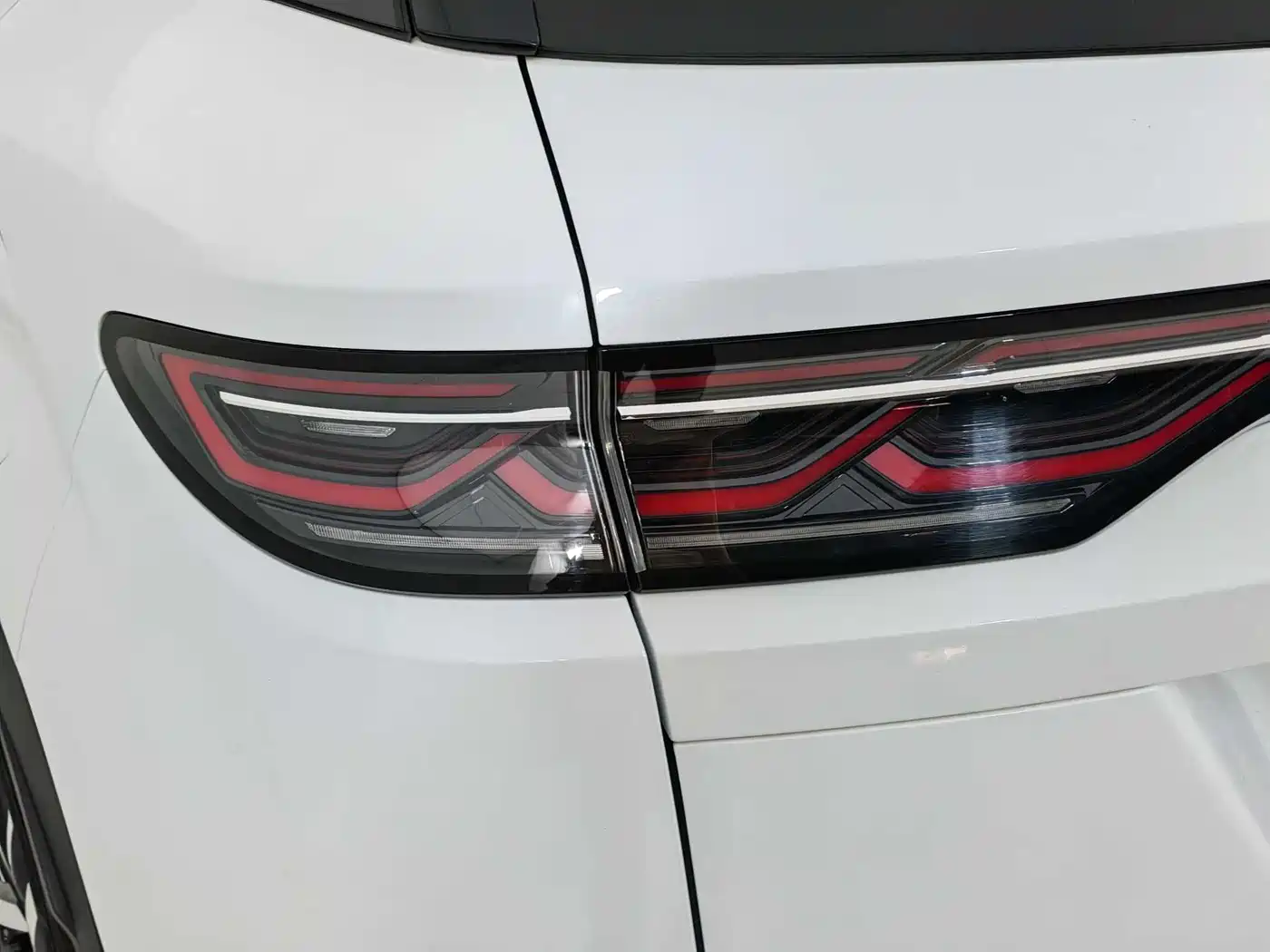 BYD Song L DM-i 2024 112km Leading Edition фото 18