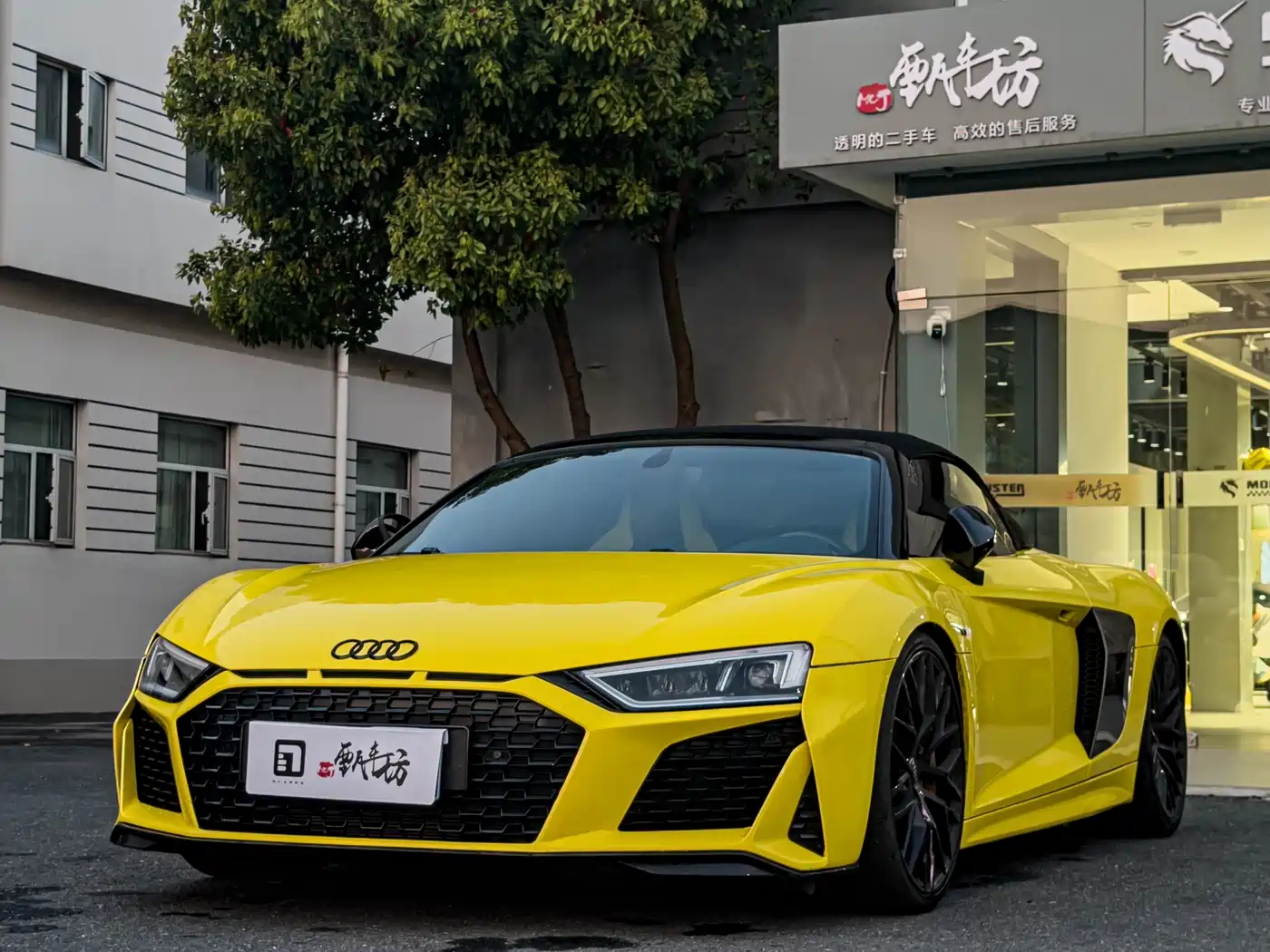 AUDI R8