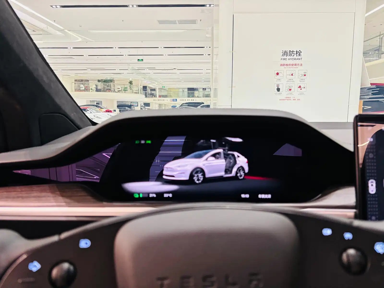 Фото 12 - Tesla Model X