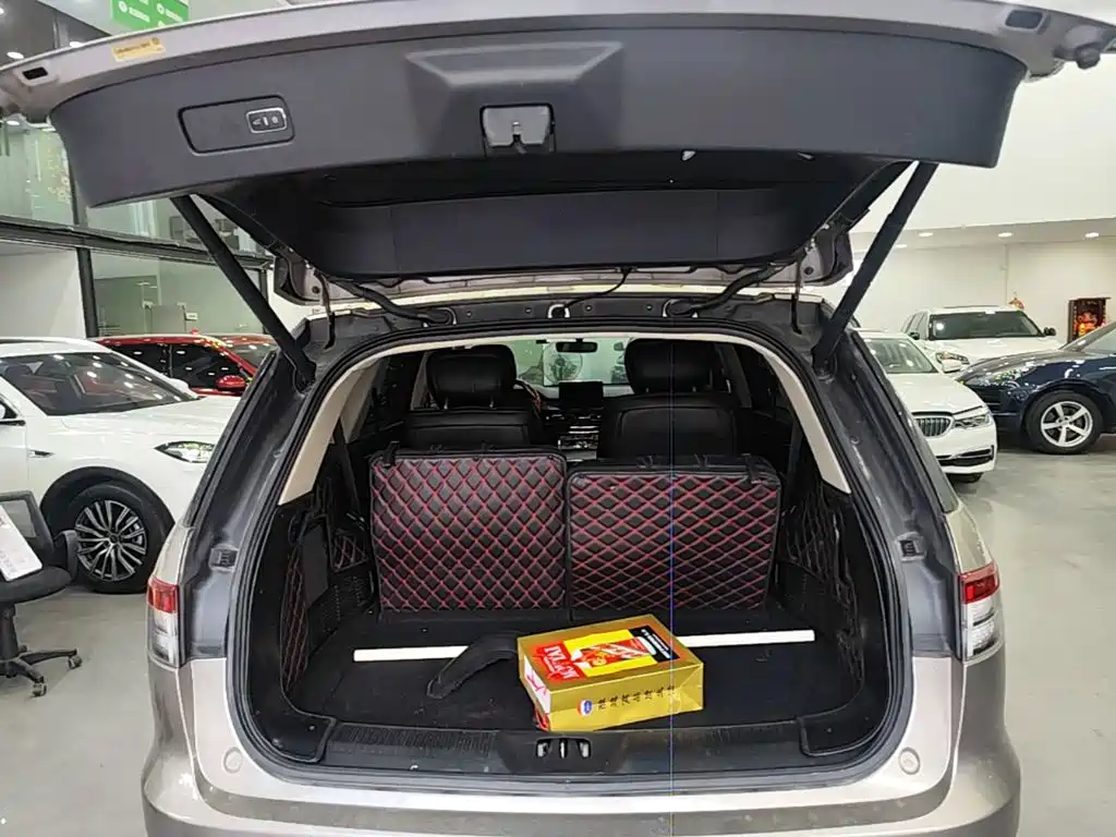 Фото 19 - Lincoln Aviator (Import)