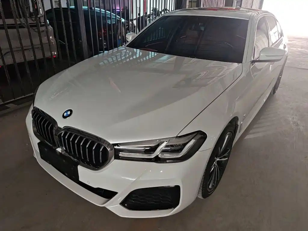 BMW 5 Series 2021 530Li Leading M Sport Package