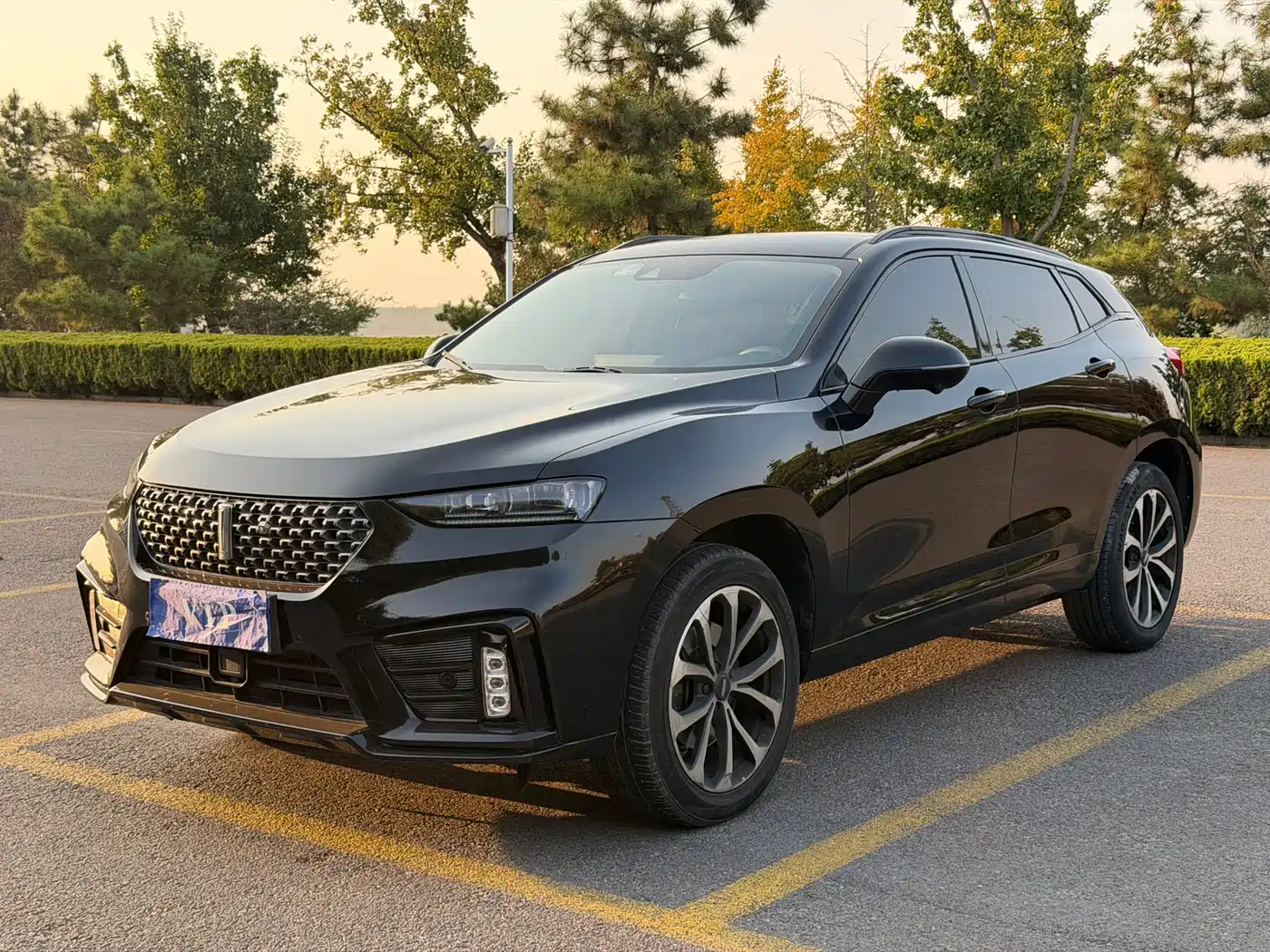WEY VV7 2020 2020 2.0T Super Luxury