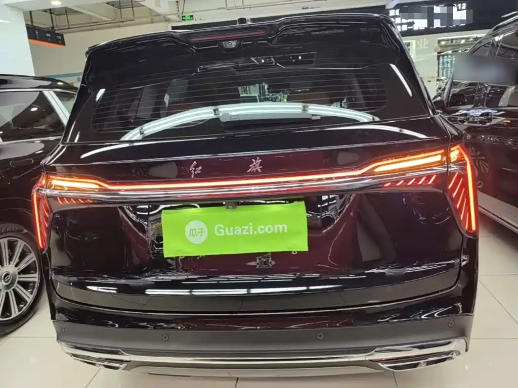 Photo 6 - Hongqi HS7 PHEV