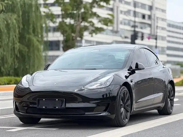 Tesla Model 3 2022 Model Rear-Wheel Drive Version