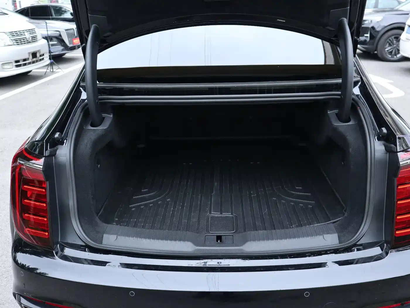 Hongqi H9 2025 2025 2.0T 2WD Qixiang Private Style Edition 5-seater