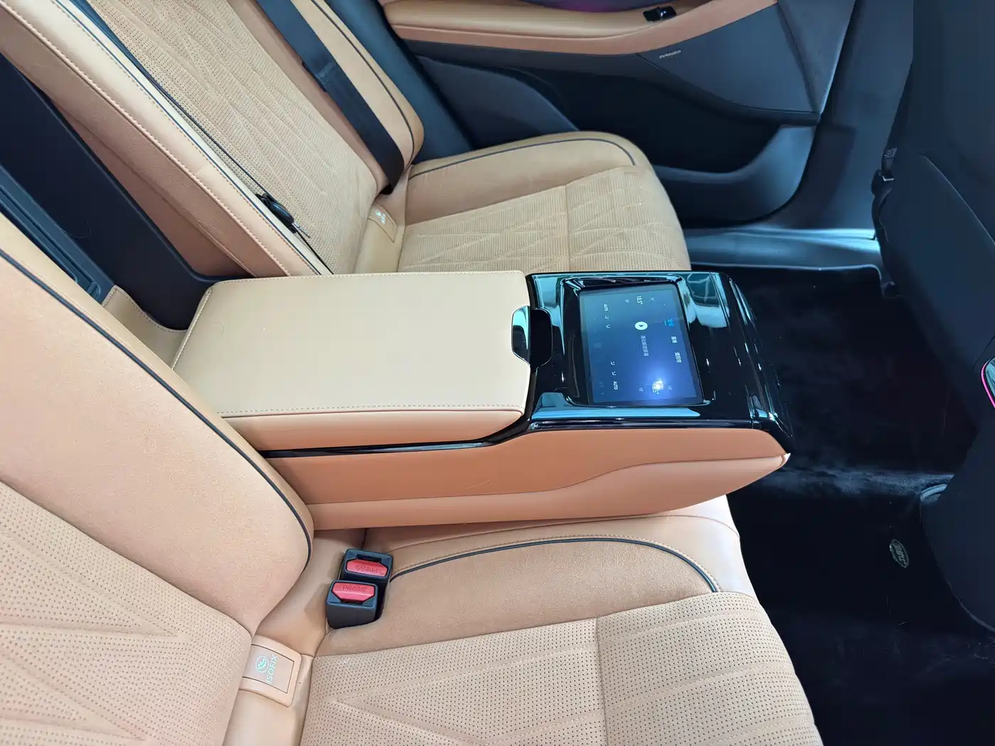 Voyah Passion 2023 2023 4WD Flagship Edition