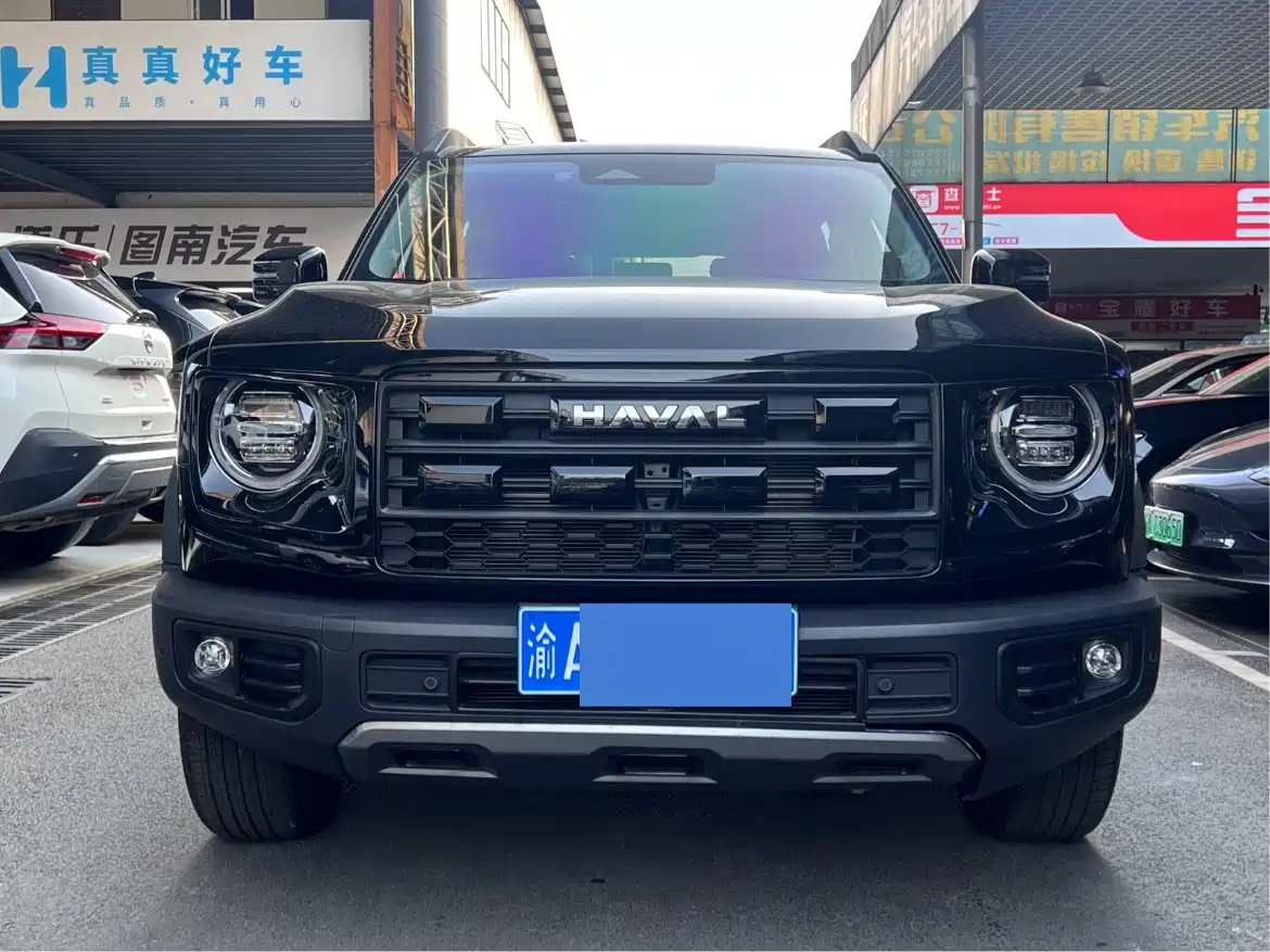 HAVAL BIG DOG