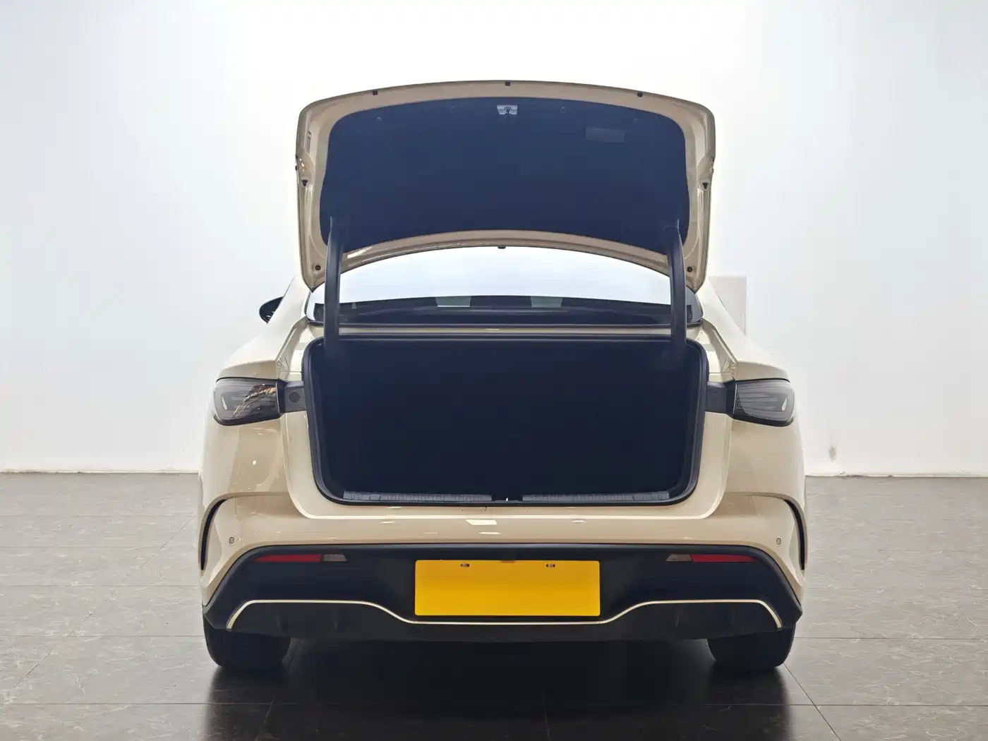 BYD Seal 06 New Energy 2025 DM-i Smart Drive 80KM Luxury фото 12