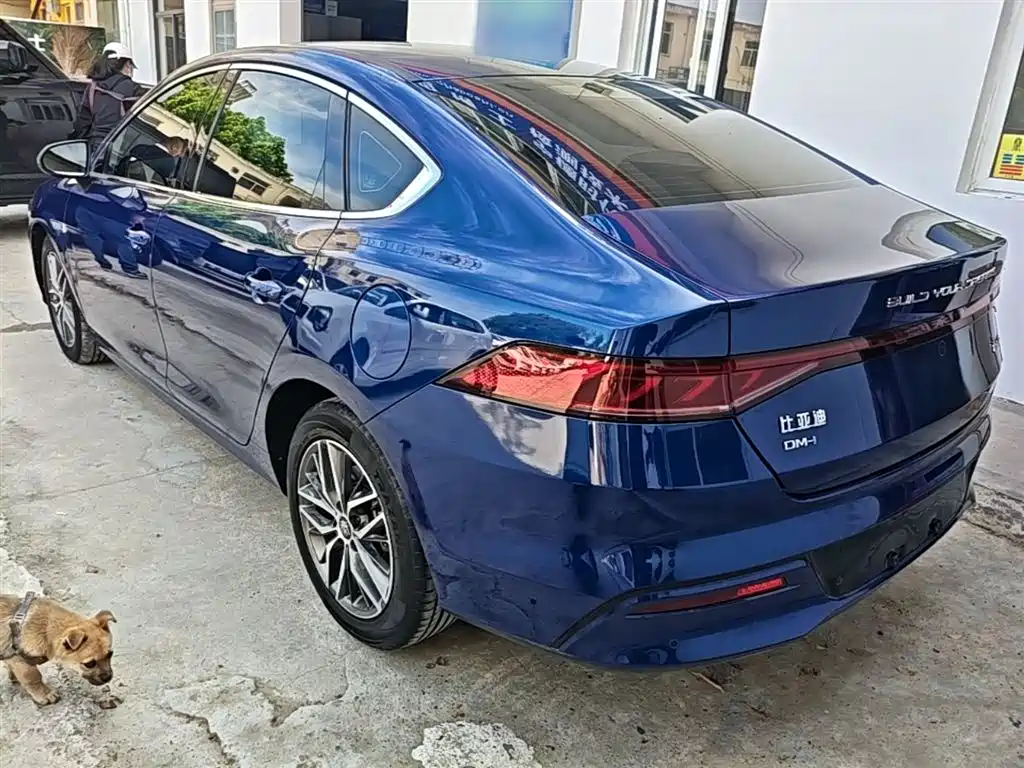 BYD Qin PLUS 2021 DM-i 55KM Flagship фото 5