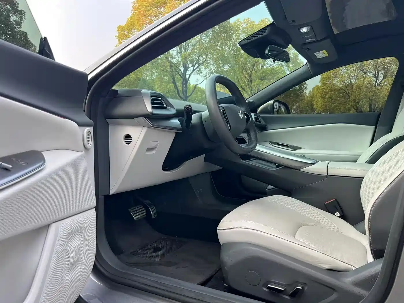 ARCFOX EXTREME FOX POLAR FOX ALPHA S5