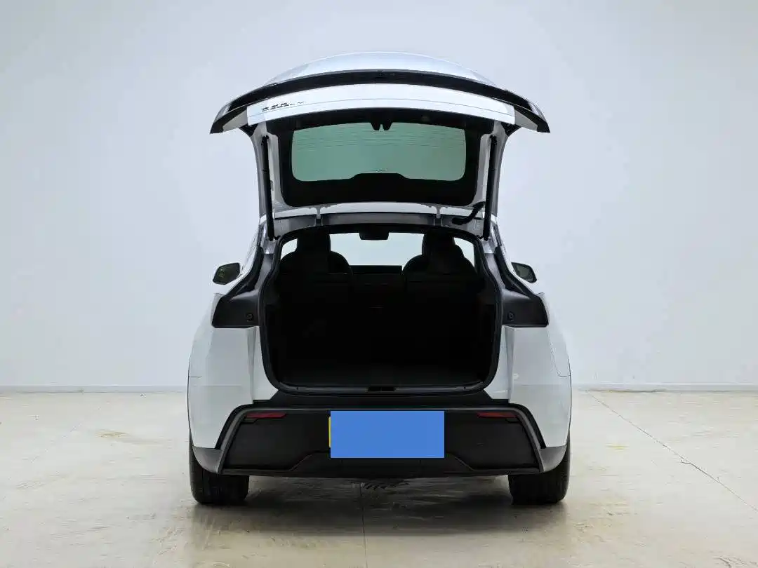 Tesla Model Y 2026 2026 Rear-Wheel Drive