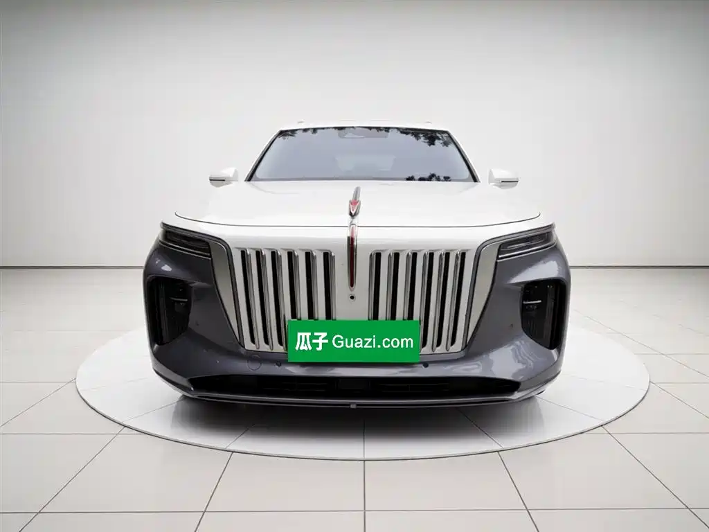 Hongqi E-HS9 2021 510km Flagship Edition 4-seater фото 24