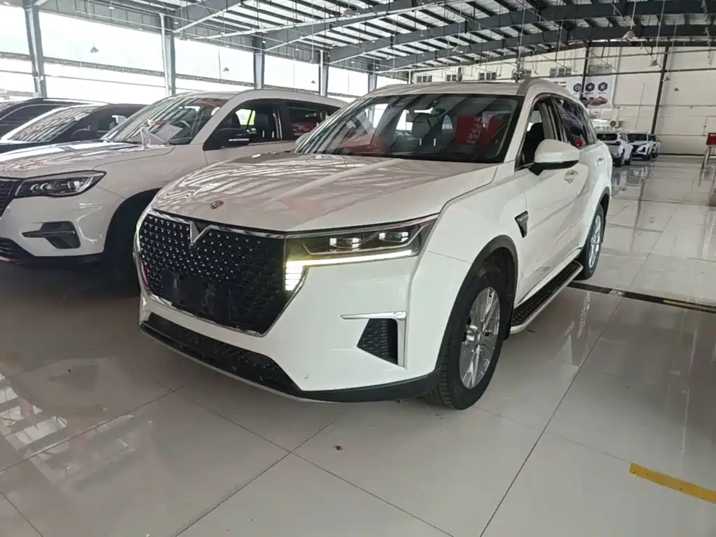 Venucia Star 2020 260T Automatic 48V Mild Hybrid Turbo Star Enjoy Edition