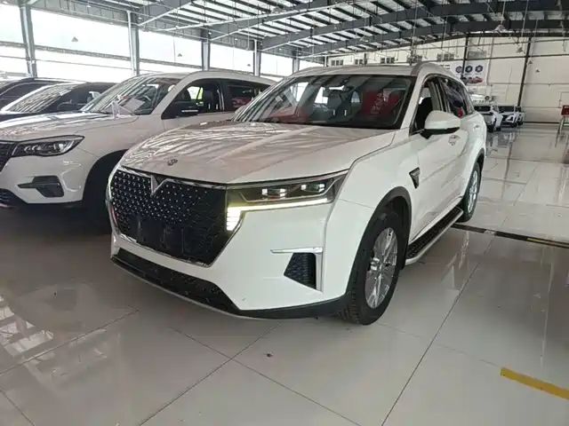  Venucia Venucia Star 2020 260T Automatic 48V Mild Hybrid Turbo Star Enjoy Edition