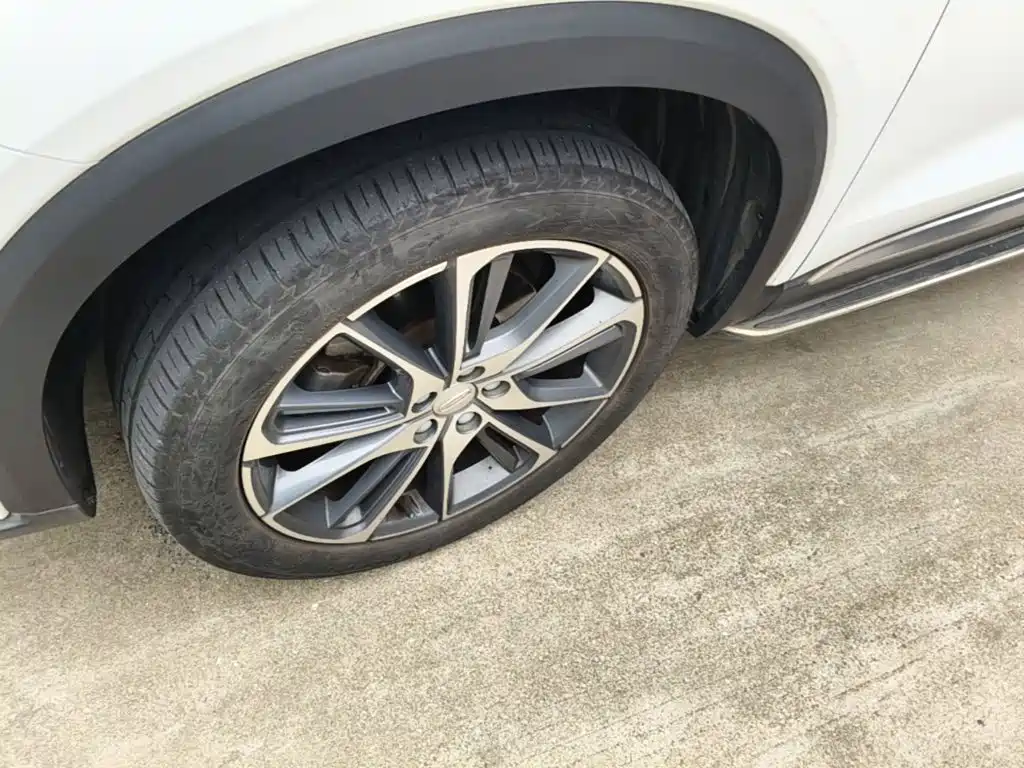 Geely Xingyue 2019 2019 300T Star Shiner