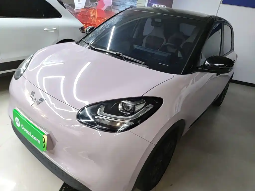 Wuling Motors Wuling Bingo 2023 Model 203km Lite Enjoyment Edition