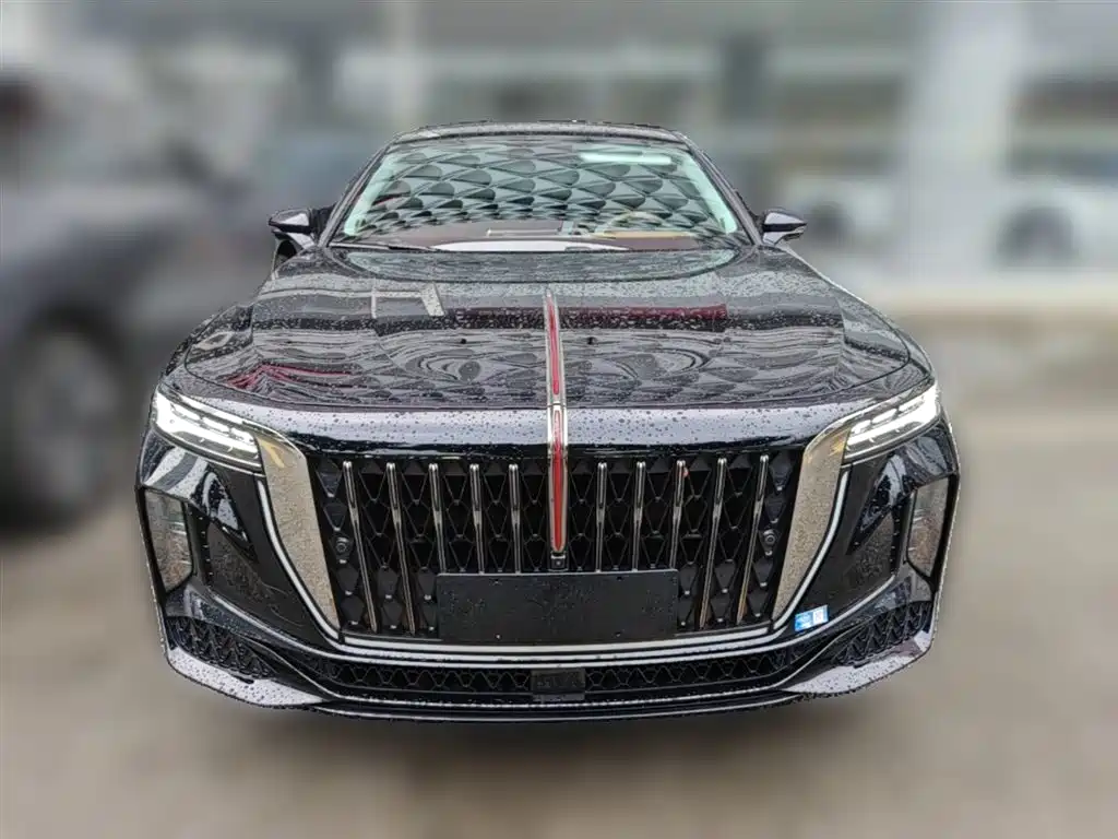 Hongqi H9 2024 2.0T Qi Enjoy Private Fashion Edition фото 5