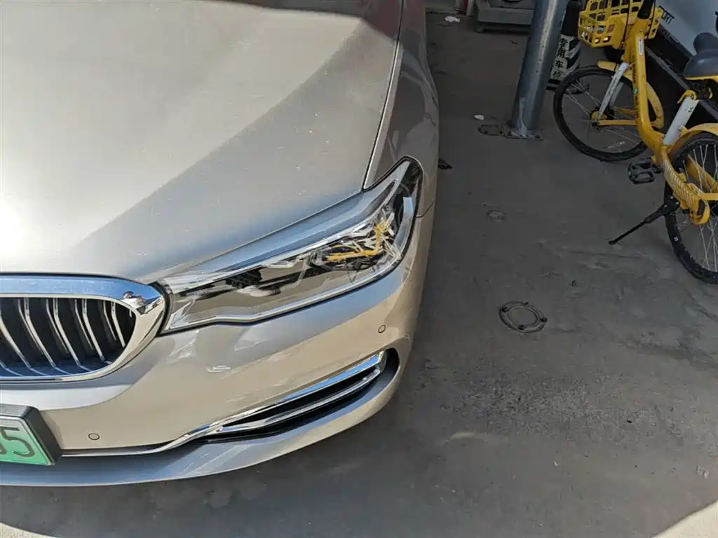 BMW 5 Series New Energy 2020 530Le Range Upgrade Luxury Package фото 24
