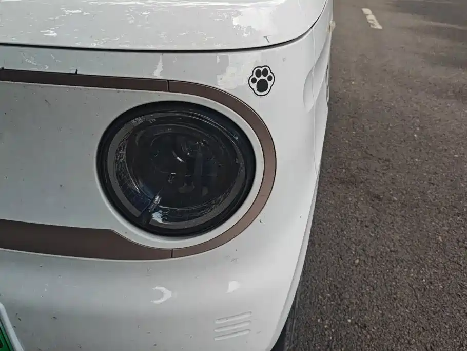 Geely Galaxy Panda 2023 2023 Panda Mini 120km Super Cute Bear