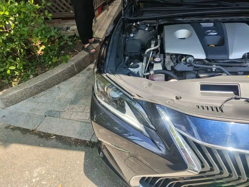 Фото 21 - Lexus ES