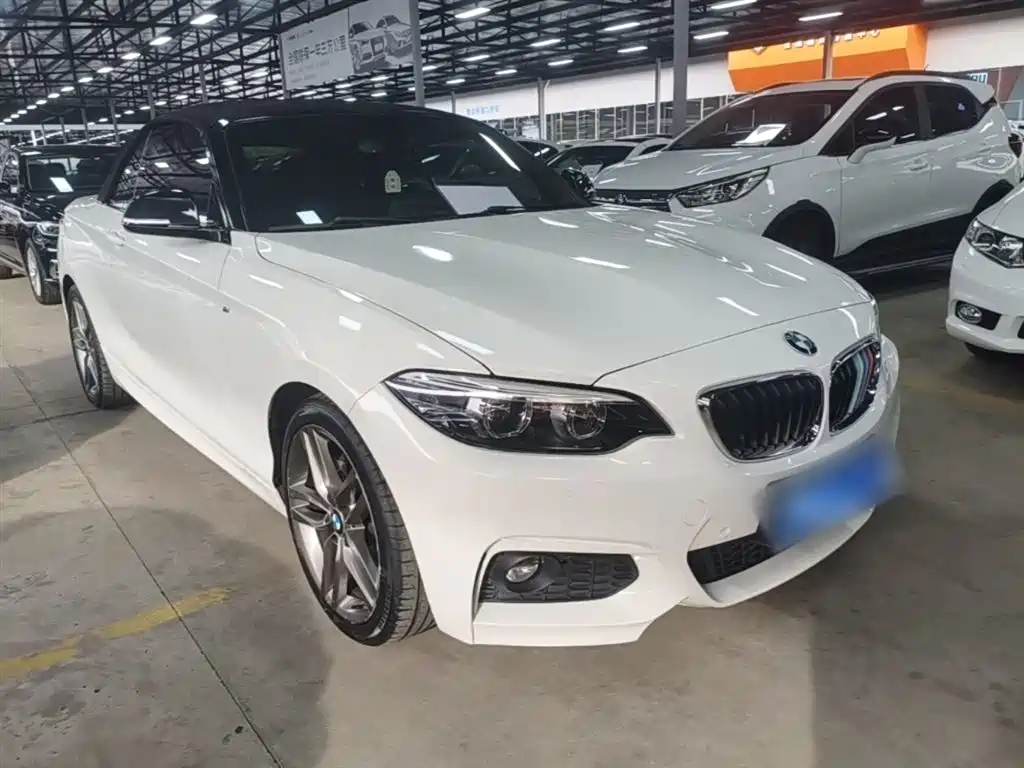 BMW 2 Series (Import) 2018 225i Convertible Coupe M Sport фото 4