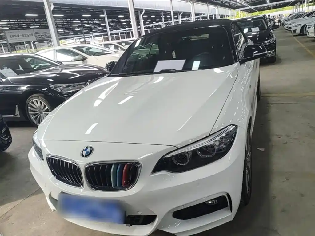 BMW 2 Series (Import) 2018 225i Convertible Coupe M Sport фото 3