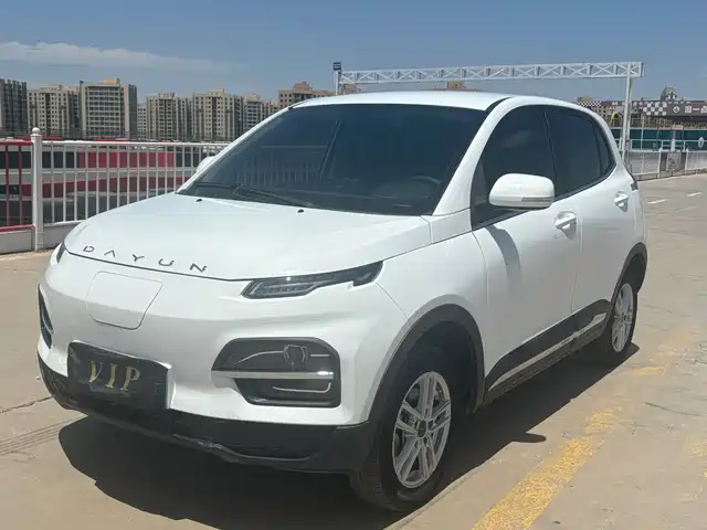  Dayun Yuehu 2023 330 Standard Edition
